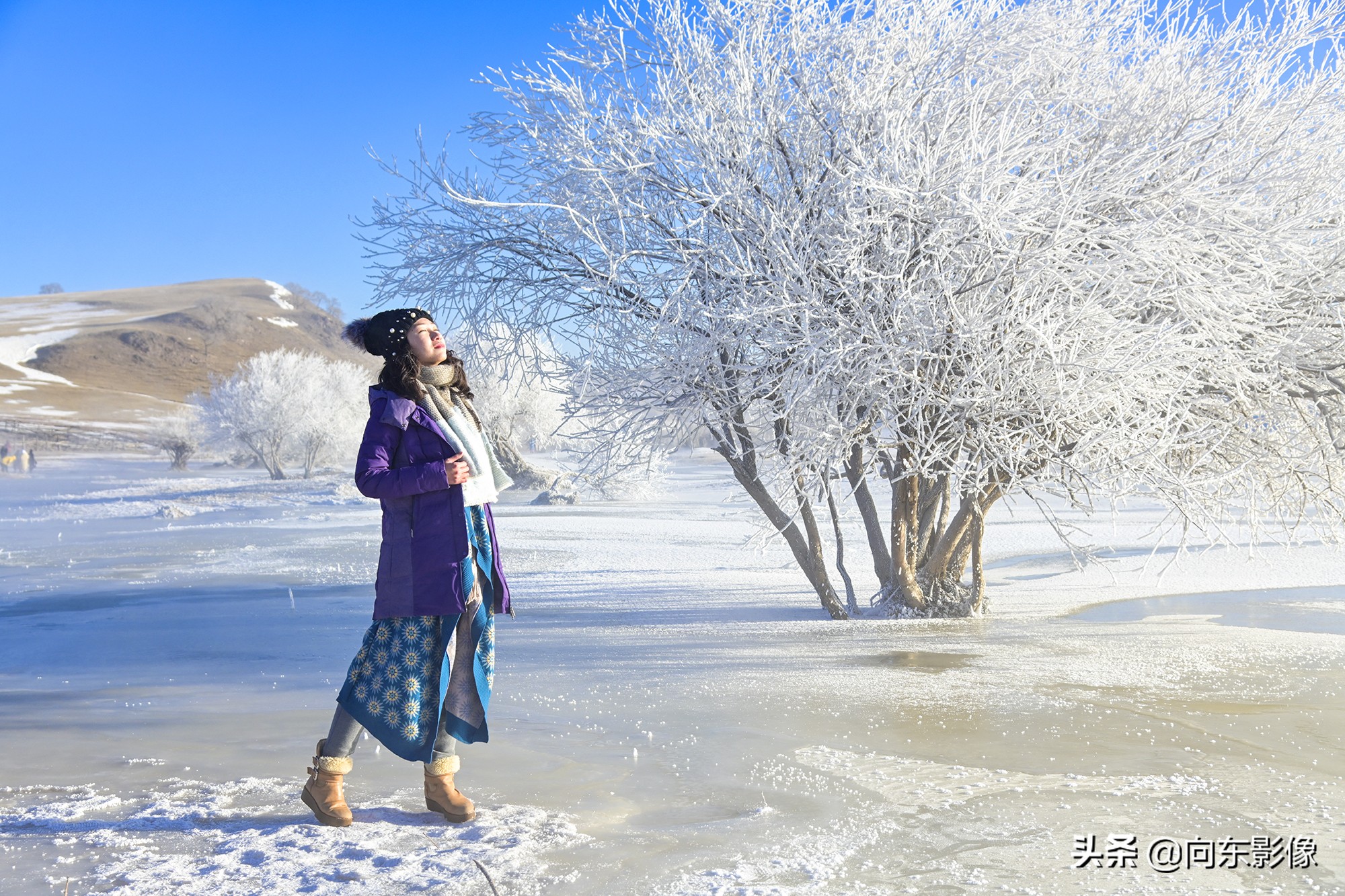 尼康z7一代高感,尼康z7ii4k60p是超采样吗