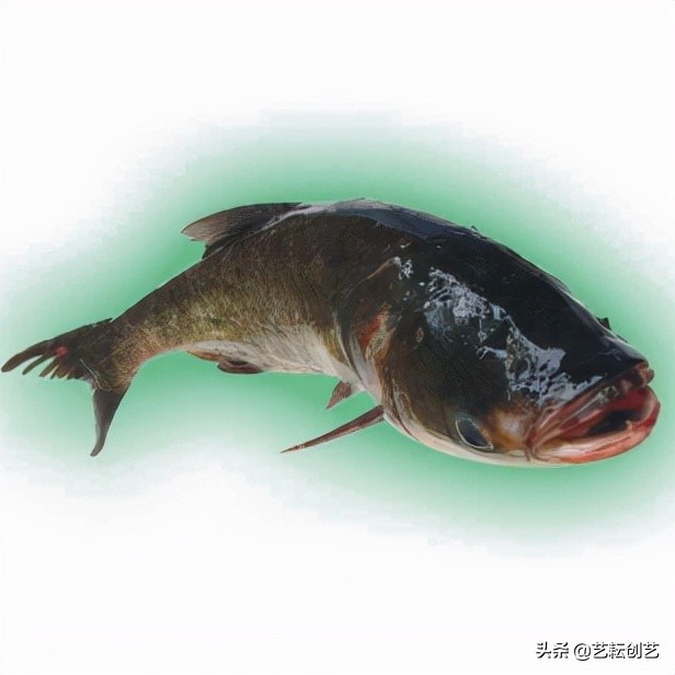 全国农产品地理标志分布地图,全国地理标志农产品