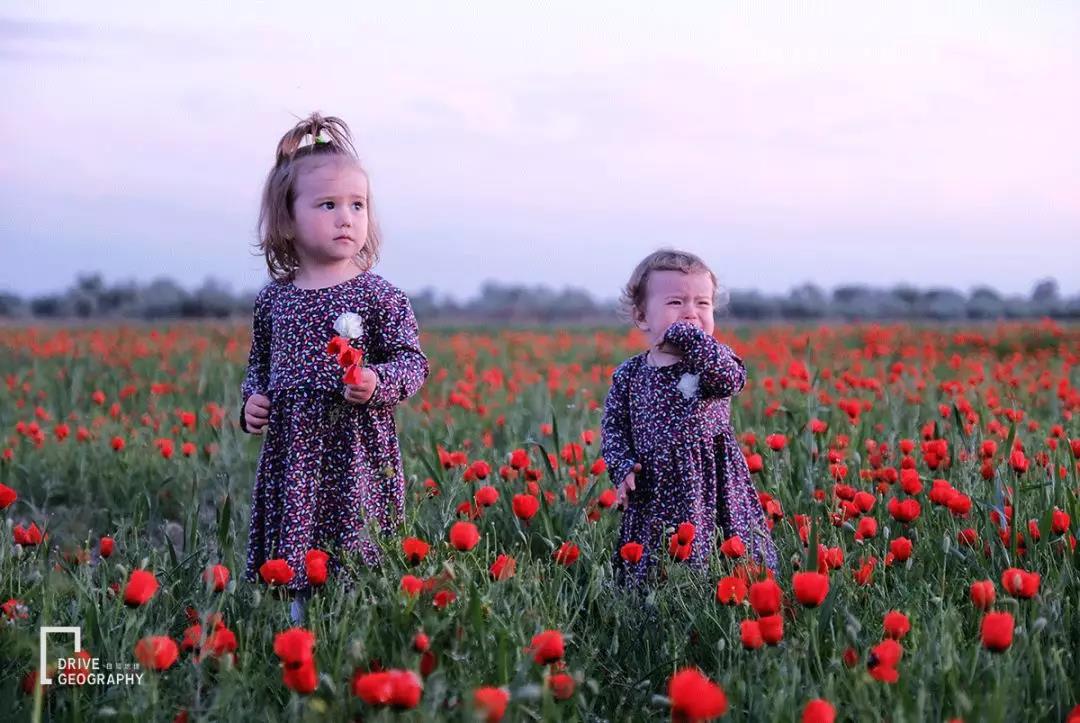 中国牌照车在国外自驾游,开中国牌照车去外国