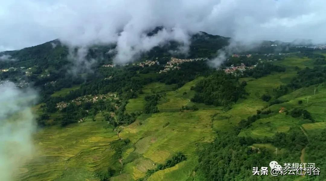 红河州森林氧吧景区,云端氧吧