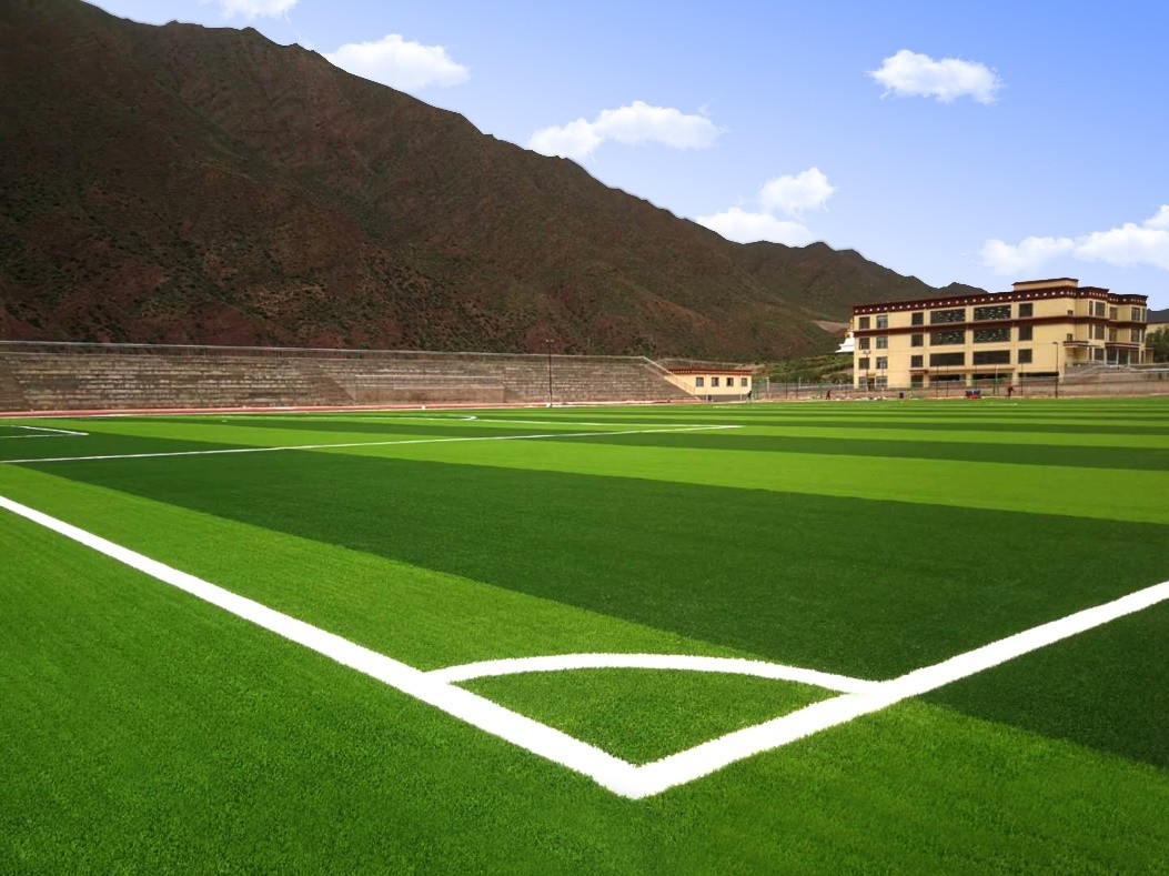 威腾免填充人造草坪,威腾免填充