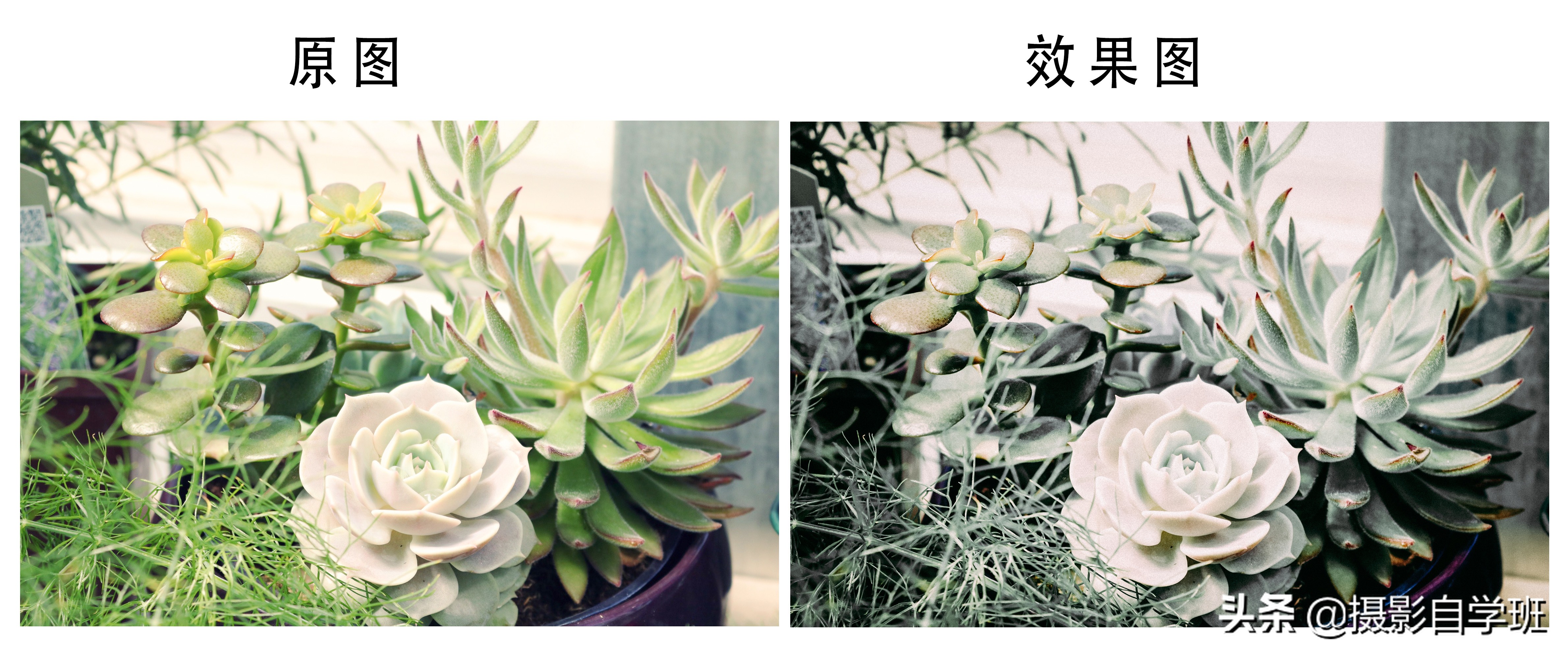 灰色显高级发色,高级灰风格照片的特点和调色方法