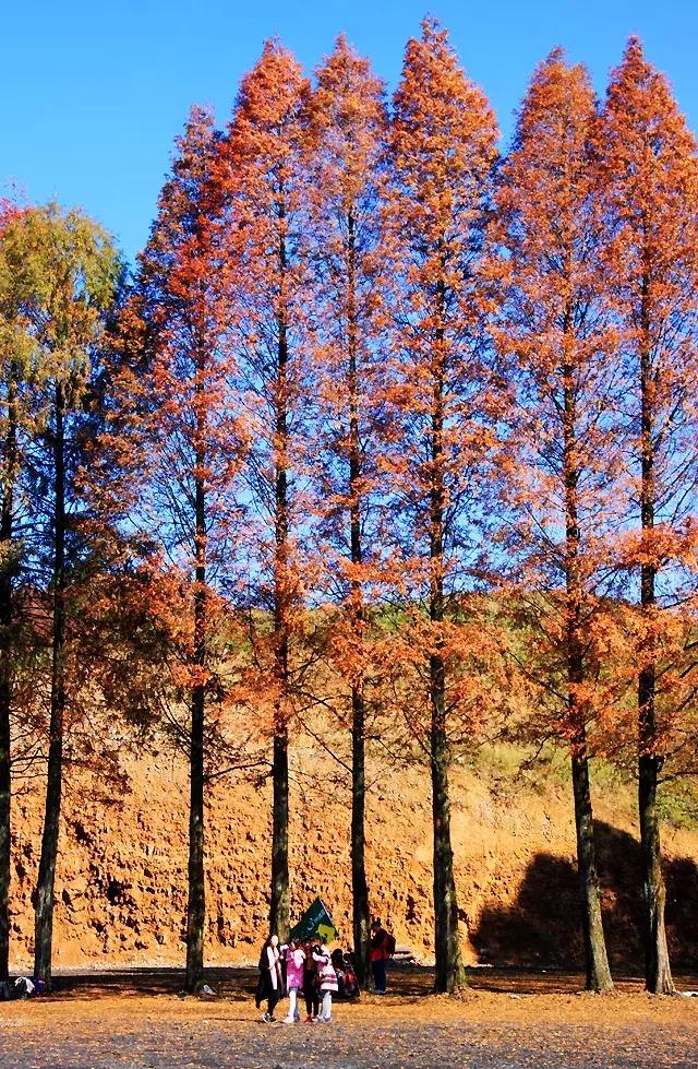 cnn评出中国40个最美的地方,cnn曾评出中国最美40个景点