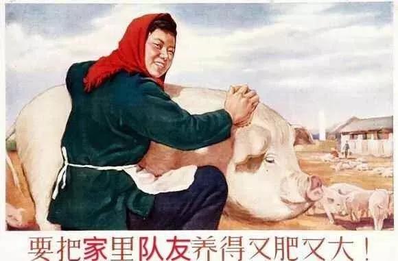 快过年了不要遇到哪种人,快过年了别惹老实人