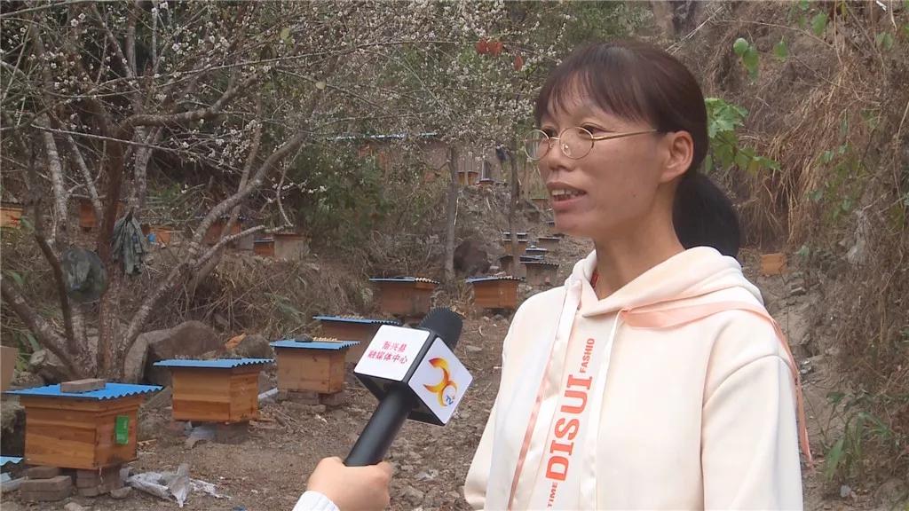 小蜜蜂助力农业增产增收,小蜜蜂脱贫致富案例