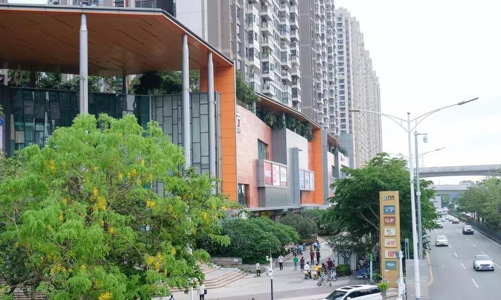 这里是观澜,下一站民治