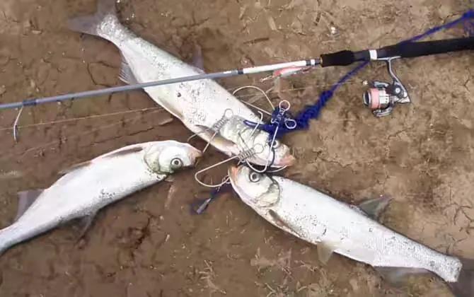 路亚初学者用什么钓具比较好,初学者路亚用什么钓具好