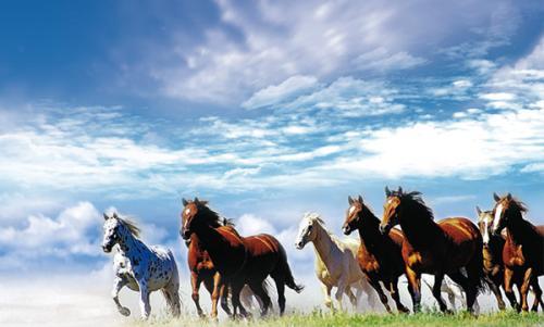 高三优秀作文通用15篇,高三高考优秀作文800字5篇