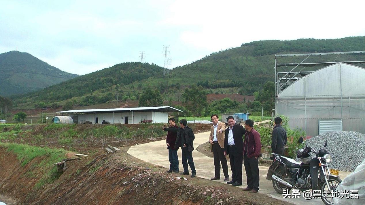 农村烂木头值钱吗,关于农村没人要的木头的视频