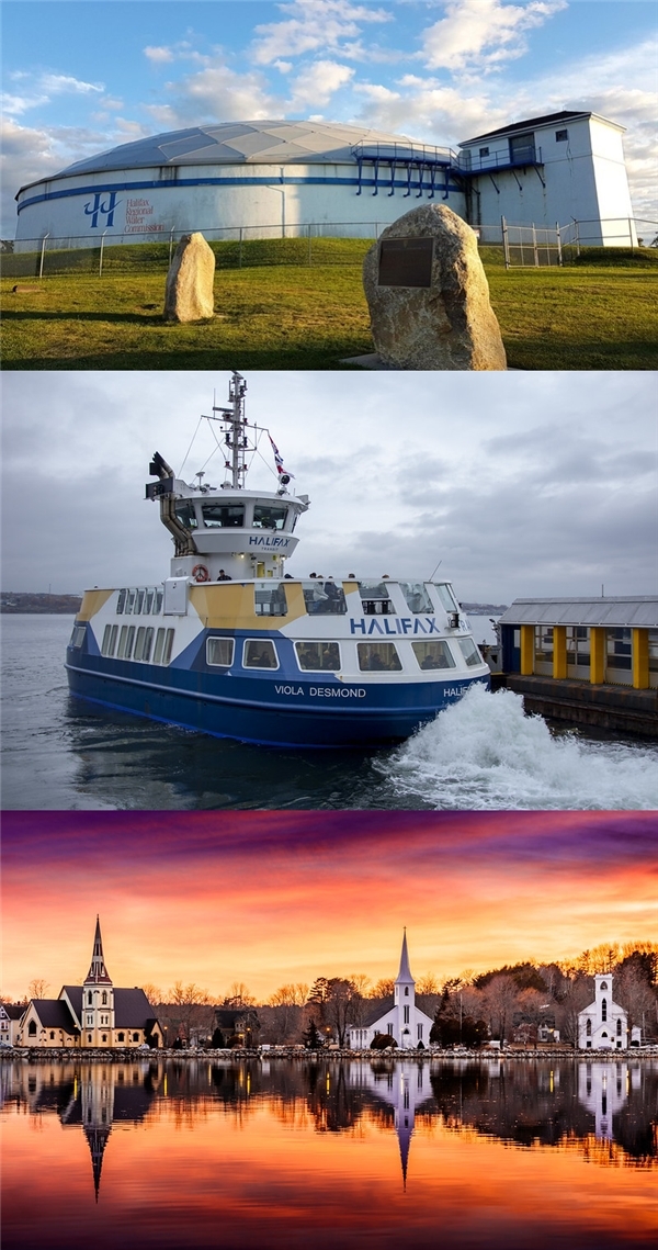 兆龙移民的优势,兆龙移民政策