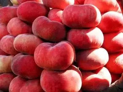 四大金刚桃核品种,桃核四大金刚你都玩过吗