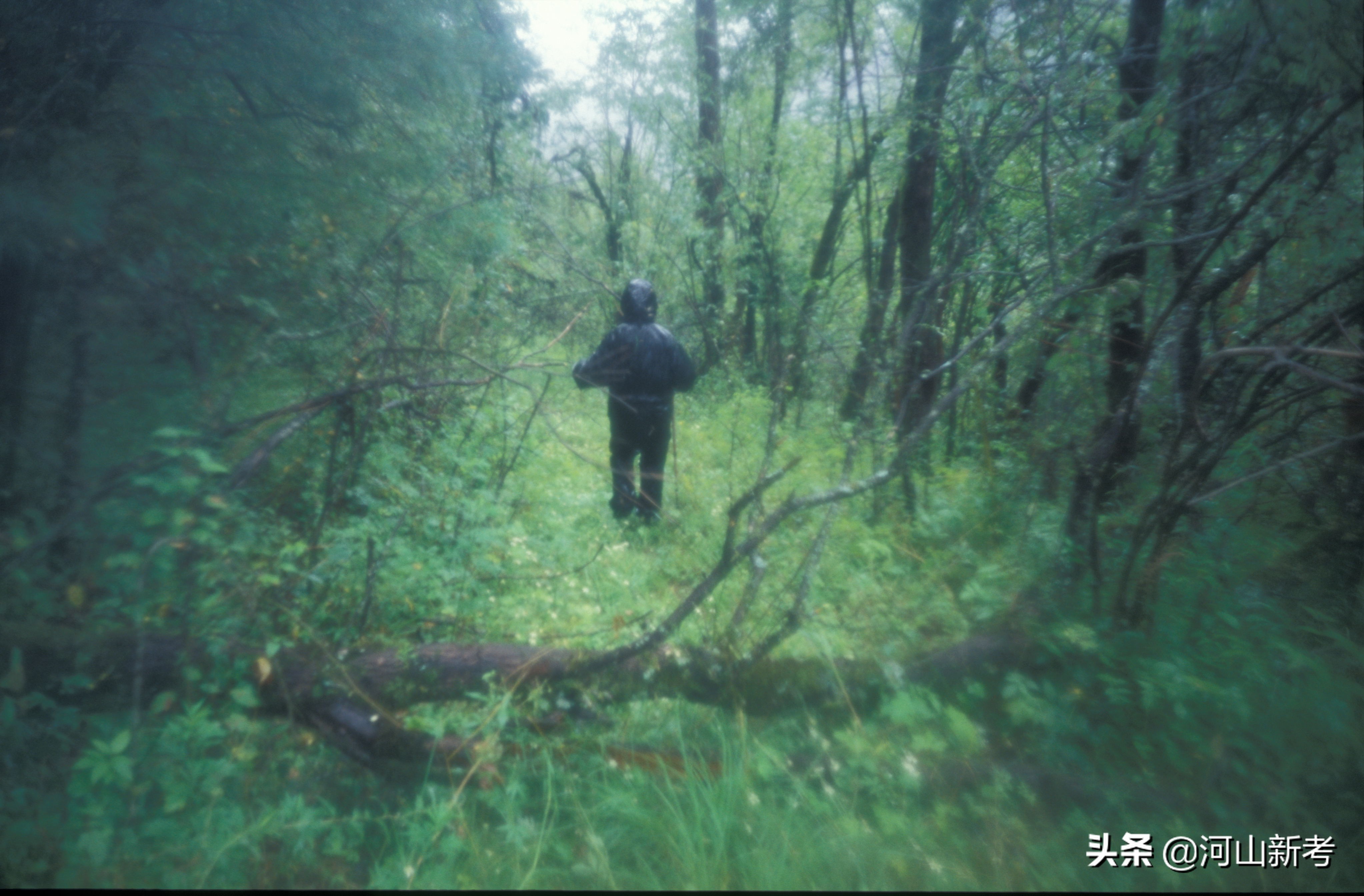 秦岭古栈道老照片,寻访秦岭古村落的感受