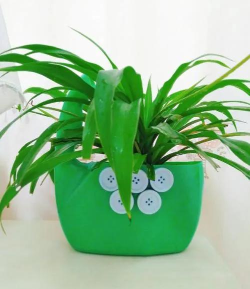 过期的饮料瓶子可以养花吗,用过的饮料瓶子怎么种花