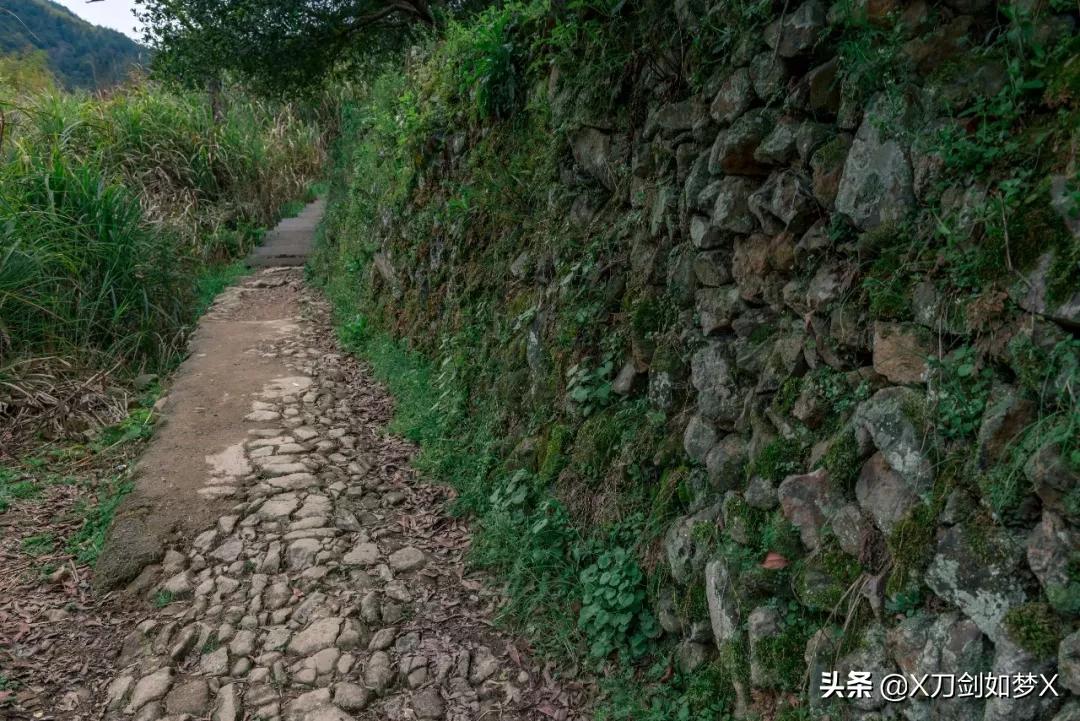 沪外游集：“华东香格里拉”-公盂村春季徒步