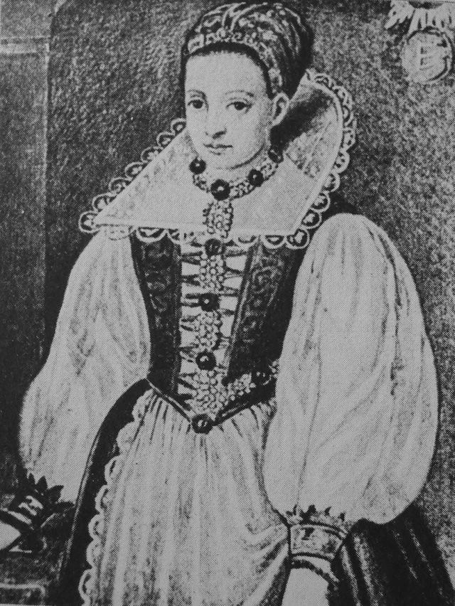 蝙蝠会变成吸血鬼吗,蝙蝠和吸血鬼有什么关系