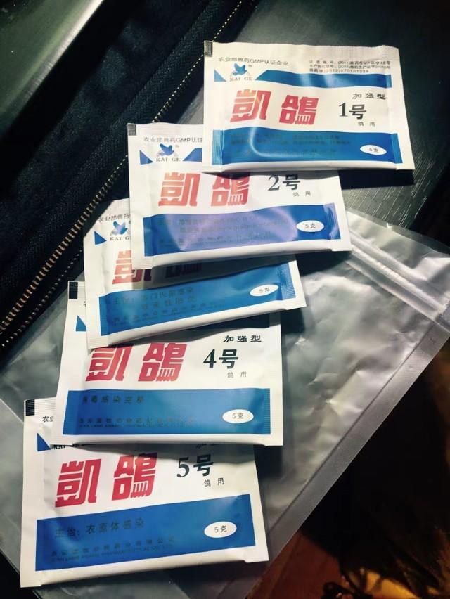 鹦鹉新手饲养注意事项,新手饲养鹦鹉的技巧和注意事项