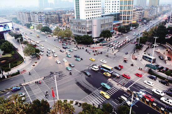 金角草包肚是什么意思,金角银边草包肚啥意思