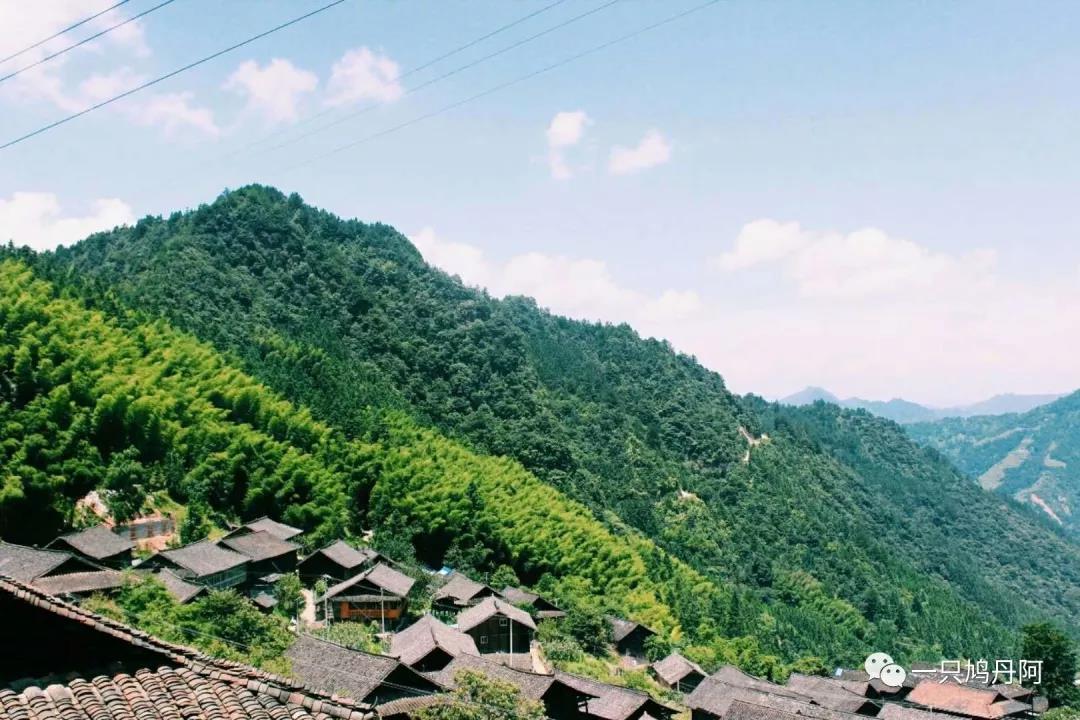 苗族百鸟衣搭配,百鸟衣苗族的介绍