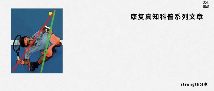 运动动力链是什么,人体运动系统动力链