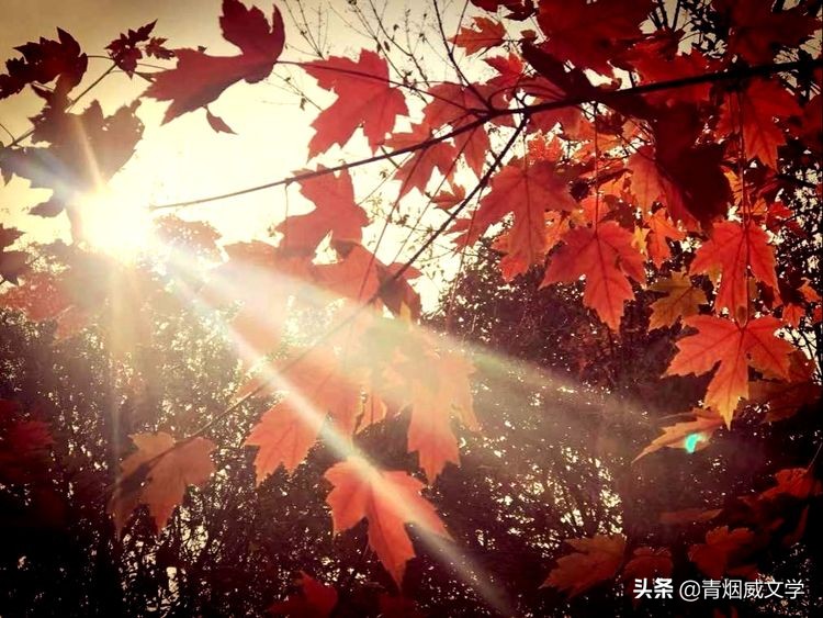 黄河｜英模｜晚秋吟（诗词六首）