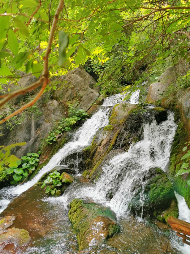 重渡沟：曾经的穷山沟！被民宿唤醒、如今游客一住就俩月