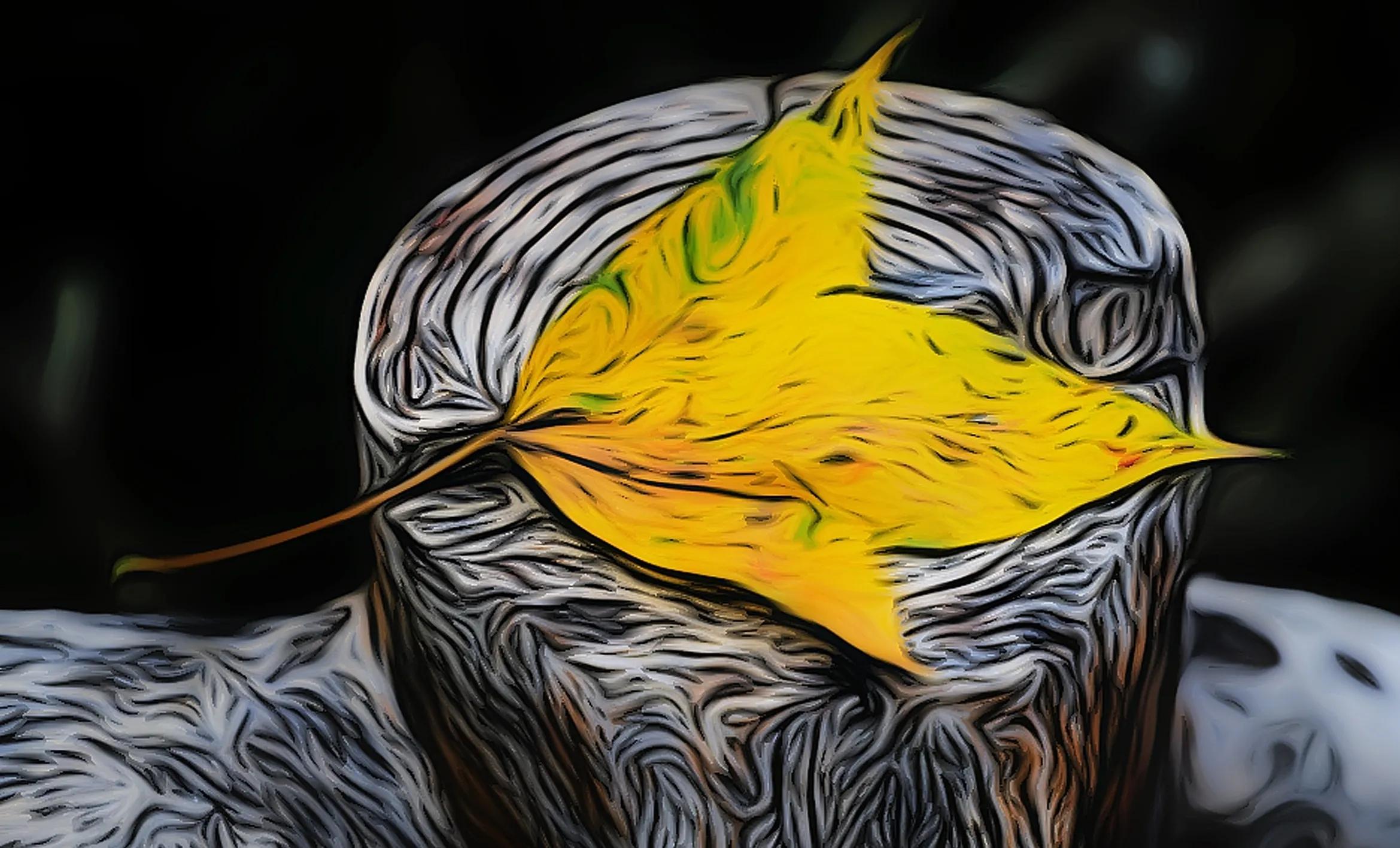 澶╃┖涔嬮暅鍞編鍥剧墖,鐩哥墖澶勭悊澶у笀