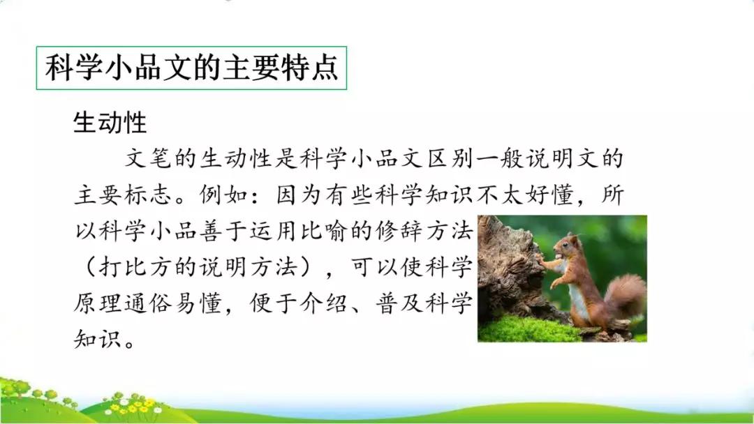 五年级语文第17课松鼠讲解,五年级上册第17课松鼠教材详解