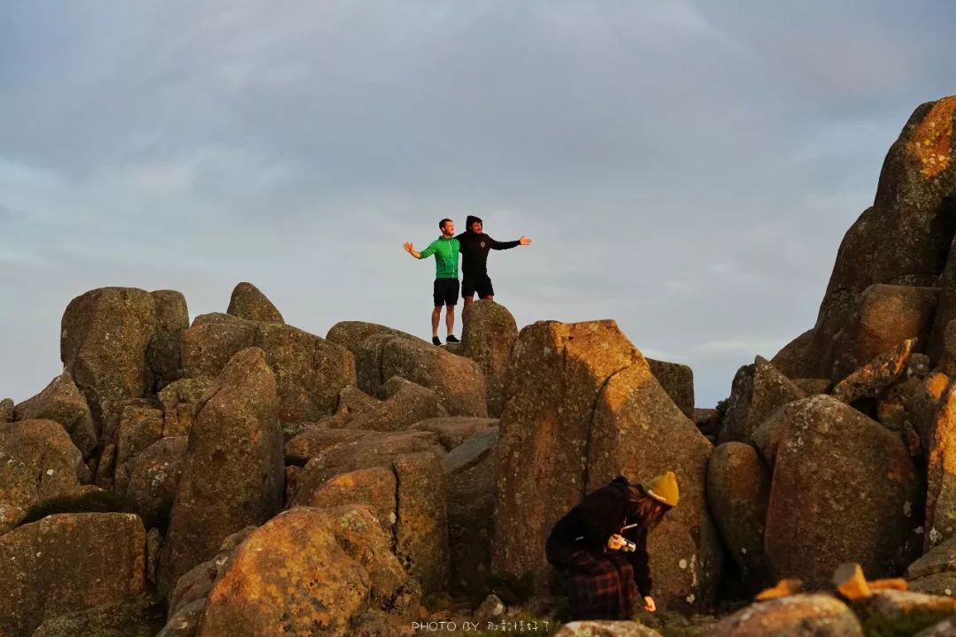 去哪里旅游可以看南极企鹅,旅游攻略南极看企鹅