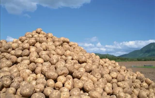 五叔和谦谦最新视频,五叔突然去世