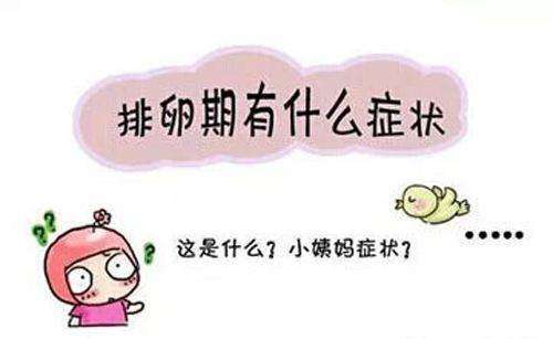 好孕攻略：排卵期的七大表现！