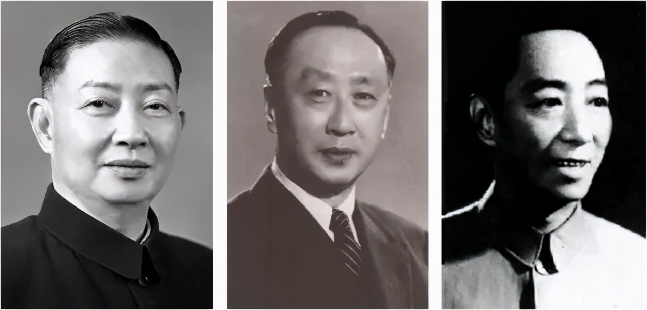 石斛的滋阴生津是什么意思,石斛功效之养胃