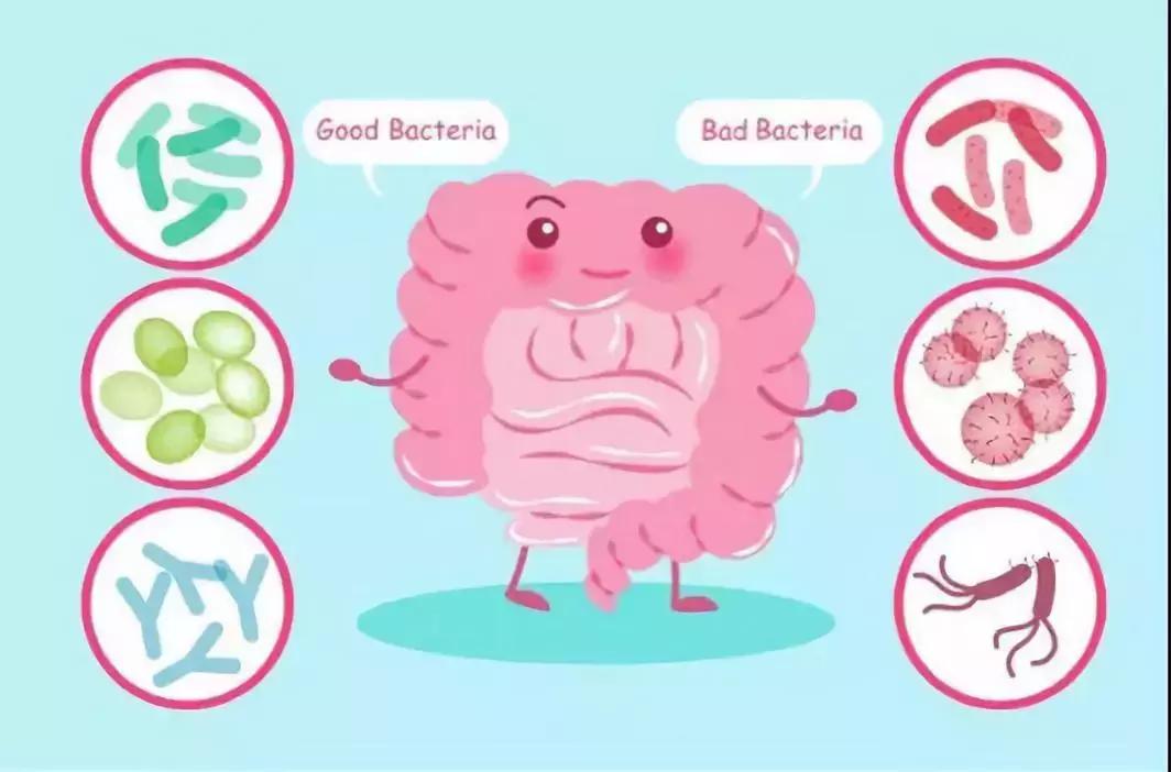 奶粉有益成分,奶粉乳铁蛋白营养成分没写