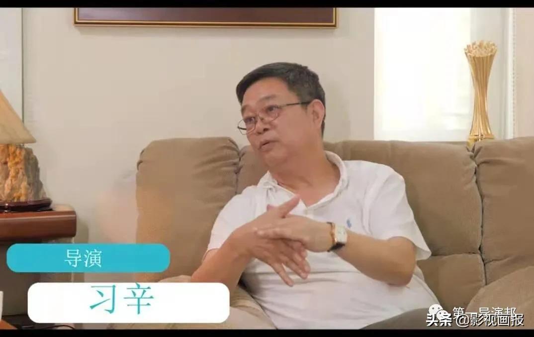 电视剧三妹导演是谁,三妹习辛执导电视剧评价