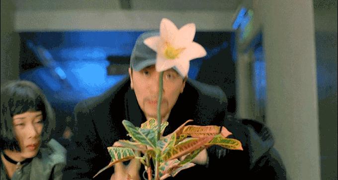 刘镇伟周星驰电影大话西游,大话西游周星驰与罗家英