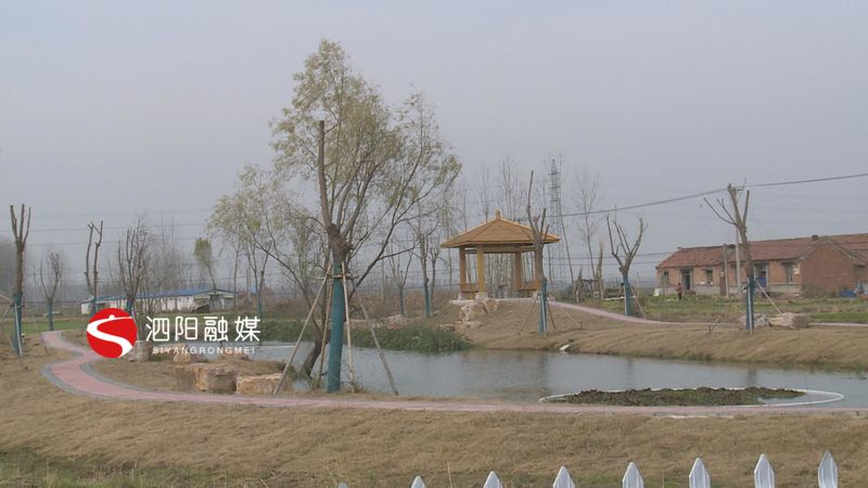 泗阳生态环境监测数据,泗阳县生态环境现状