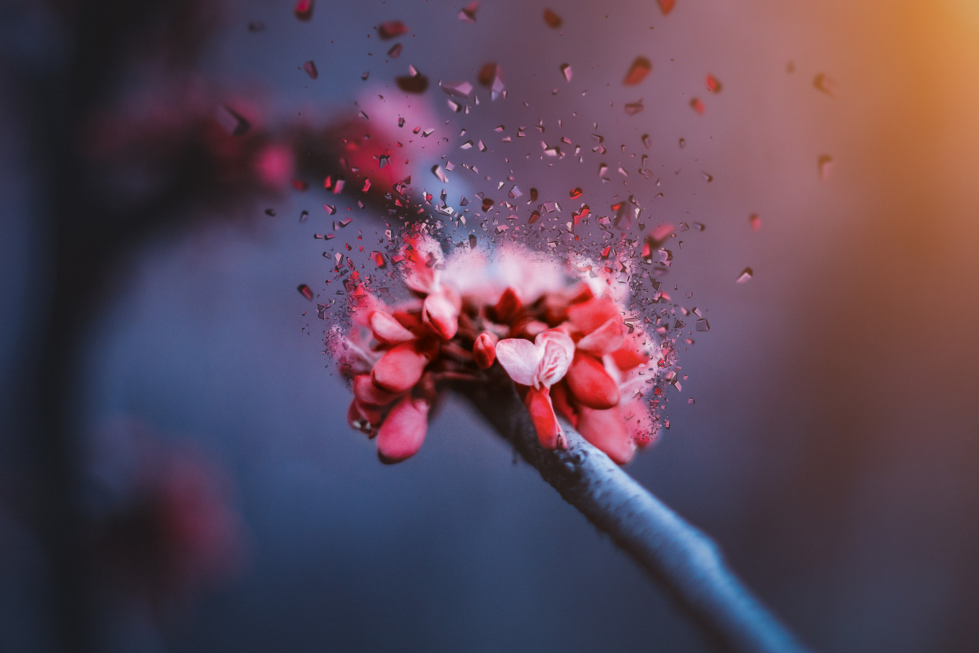 浜旀湀榛勬澶╀笁鏄熺櫧鍏板湴,涓夋槦鐧藉叞鍦颁簲鏈堥粍姊呭ぉ