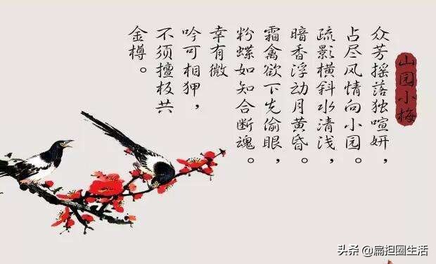 山园小梅疏影横斜水清浅,山园小梅疏影横斜水清浅手势舞