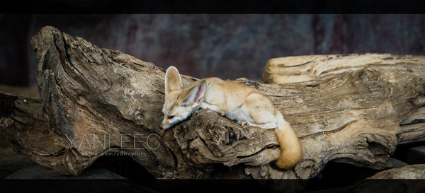 泰国旅游漫游,最新鲜玩转泰国攻略