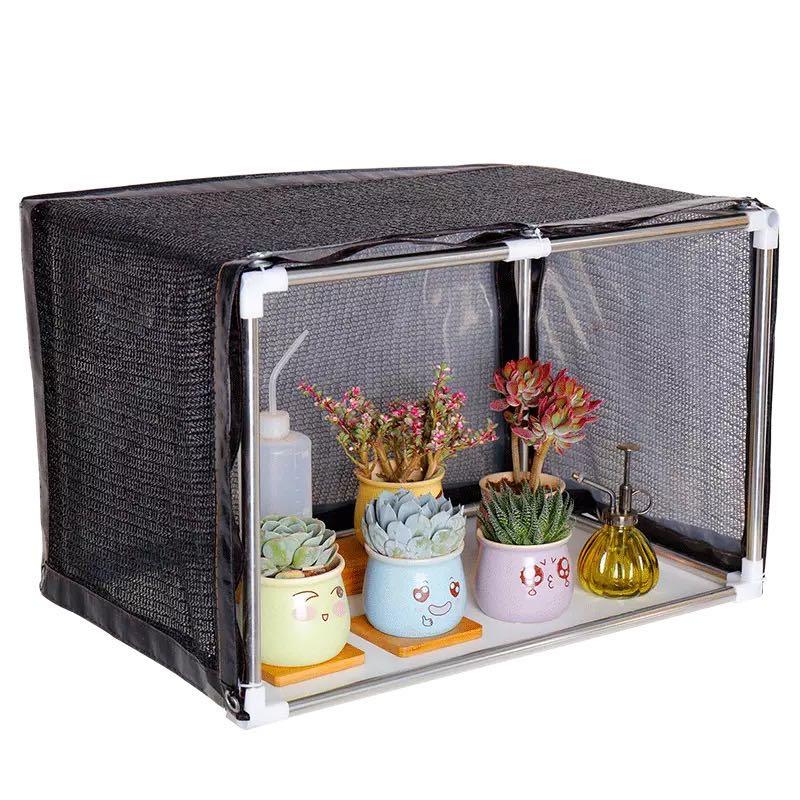 多肉怎么度过夏天,多肉夏季可以安全的度过夏季吗