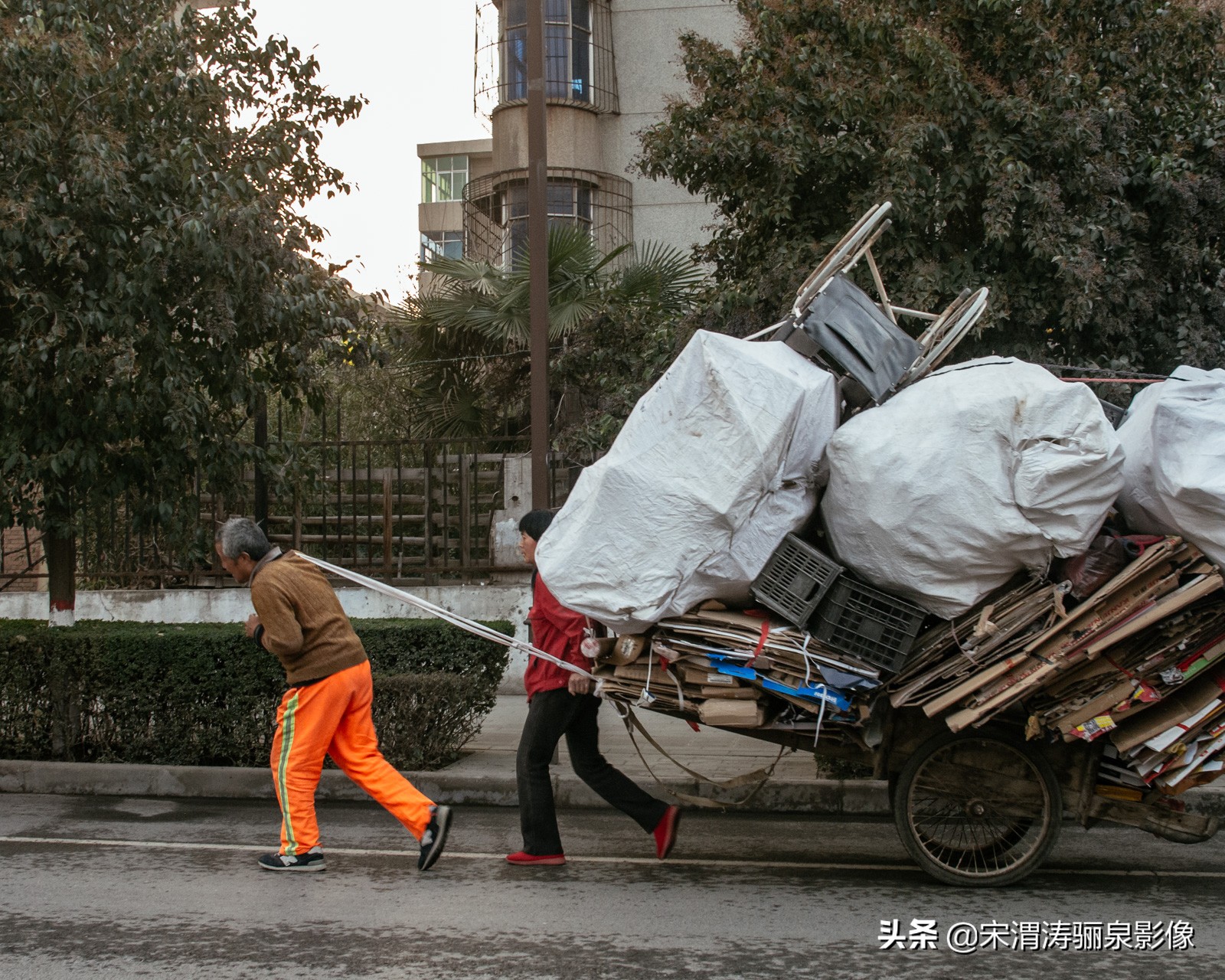 摄影家协会会员如何申请加入,如何申请成为中国摄影家协会