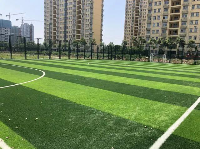 国家体育总局场馆免费开放政策,国家体育总局足球场地最新政策