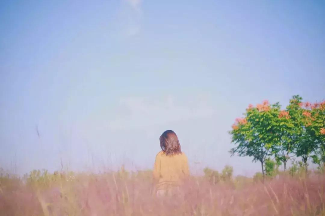 合肥秋季风景打卡地方排行榜,合肥最值得打卡地