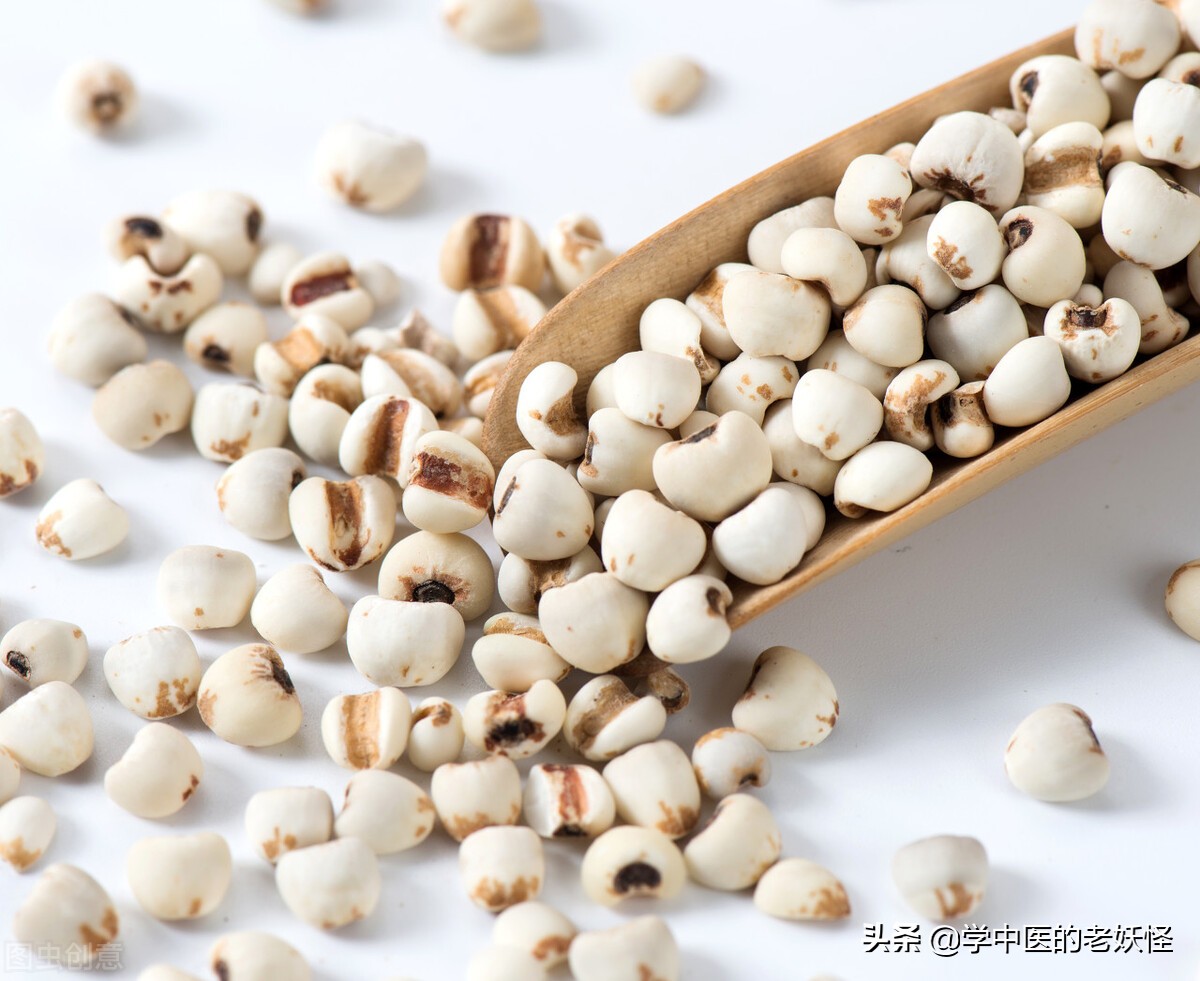 复方薏苡仁配方,薏苡仁为君药