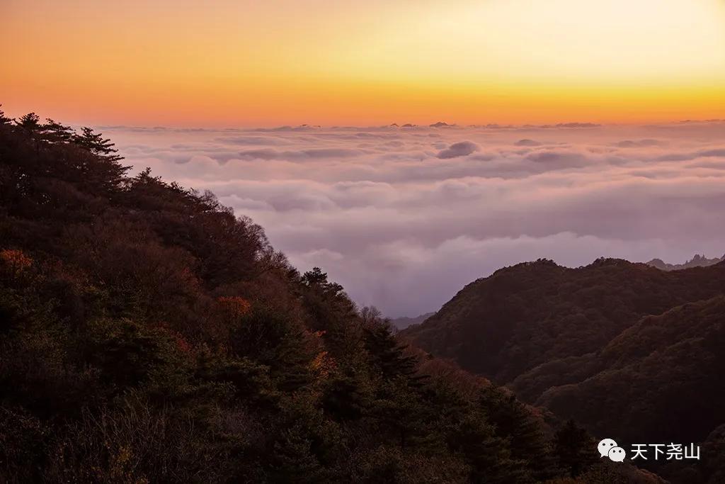 尧山红叶节免费门票,尧山景区每星期三免门票