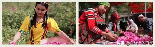 被低估的特产有哪些,被人低估的地方特产