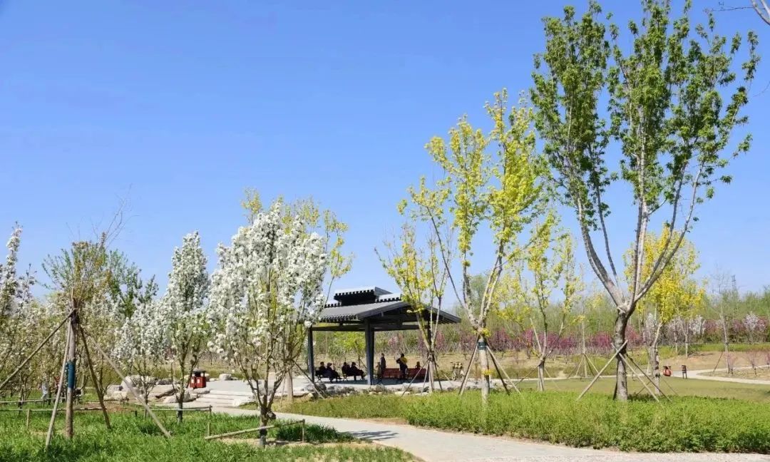 附近免费景点踏青网红打卡地,北京周边的四季花海