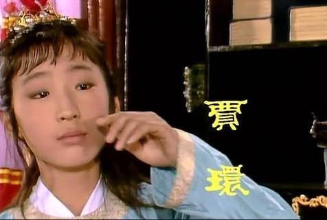 赵姨娘受宠吗,赵姨娘的悲惨人生