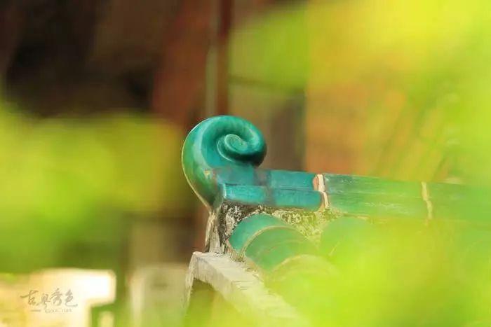 广州最美中学是哪间？这一所你一定服气！