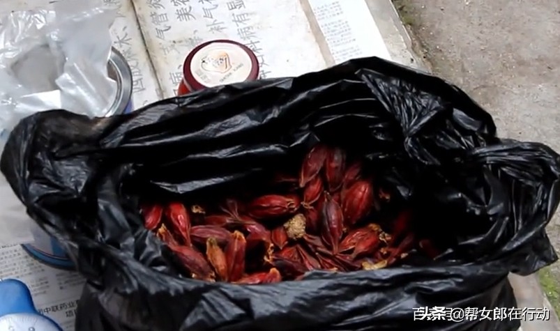 街边摆摊卖神药,地摊卖养生保健草药