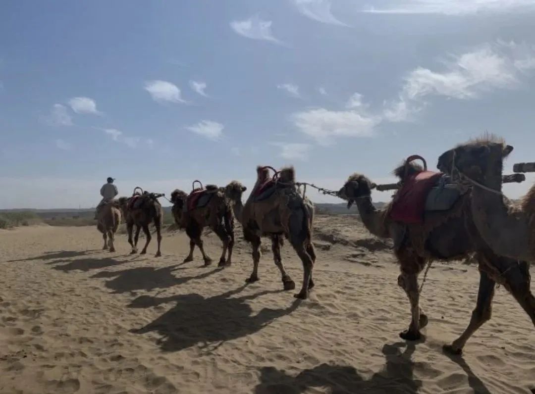 随心走旅游,宁夏自由行旅游攻略